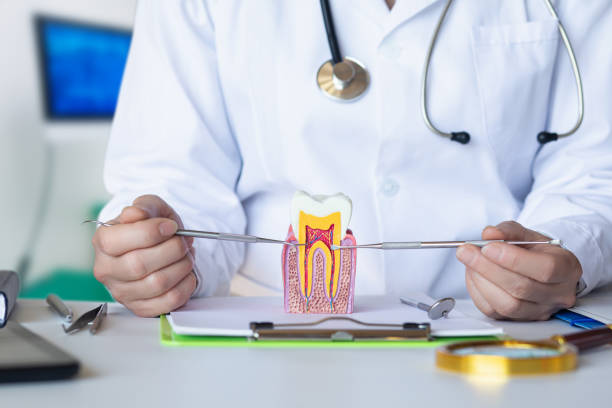 Best Mobile Emergency Dentist in Cottleville, MO
